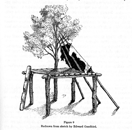 raised wooden platform with ladder and animal hide lean-to shelter built around a tree