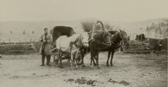 man standing with a cart pulled by three horses