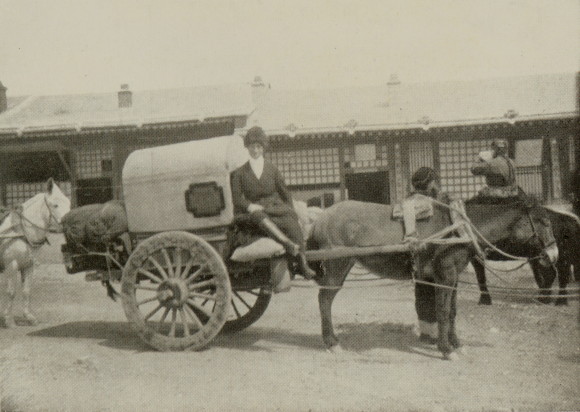 woman sitting at front of small carriage pulled by a mule