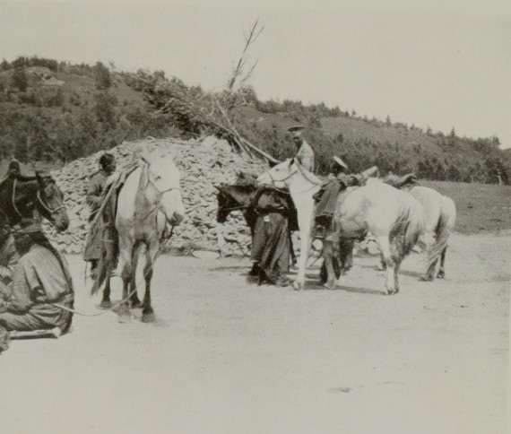 group of resting people and horses