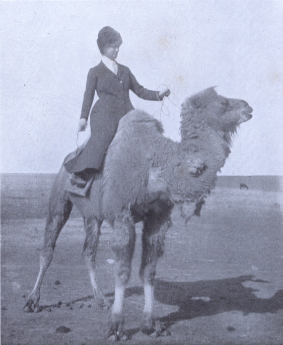 woman astride a camel in the Mongolian landscape