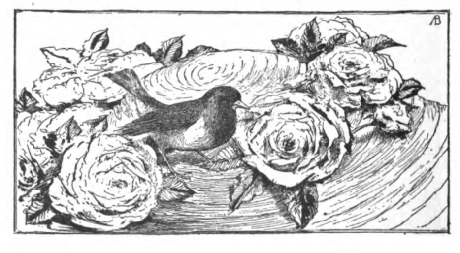 bird sitting on a hat decorated with roses.