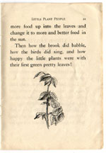 image of the page with illustration of an oak sapling