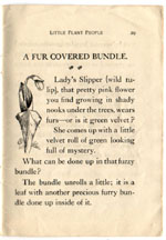image of the page with a drawing of Lady's Slipper