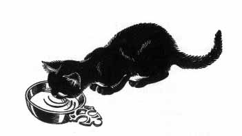 A cat drinks from a porridge bowl
