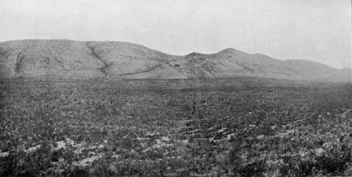 photograph of flatlands with the mountains in the distance