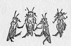 happy grasshoppers dancing