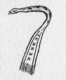 snake's head and neck with body of a belt