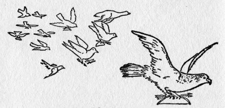 birds in flight with bows and arrows in their talons.