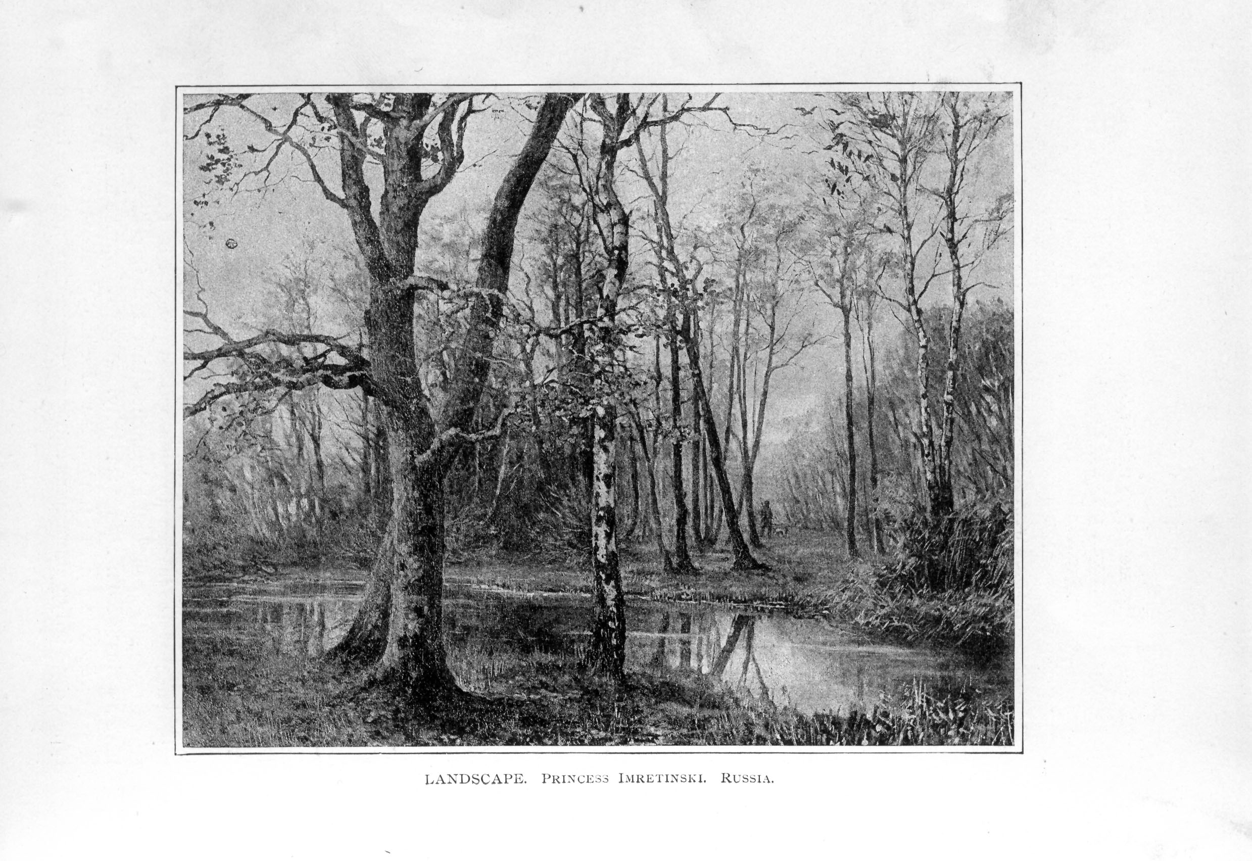 forest scene with stream and man standing on a path in the distance