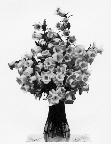 bell shaped blossoms with a collar behind them artfully placed in a bell shaped vase