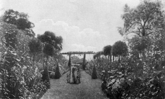 photograph of garden described