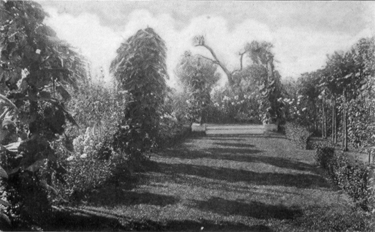 photograph of a wide garden path with trees and flowers in the distance.