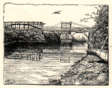 cable bridge with central pier over a river with reflection visible and bird flying overhead
