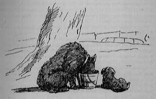 bear and dog resting under tree, bear eats from a bucket