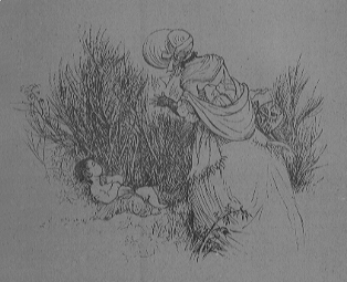 Miss Betty leaning over the broom-bush and gazing at the sleeping child