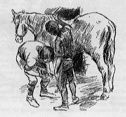 Two men examining the foot of the horse.