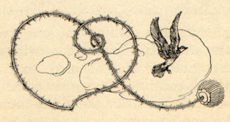 A flower stem twisted into a heart and a small bird.