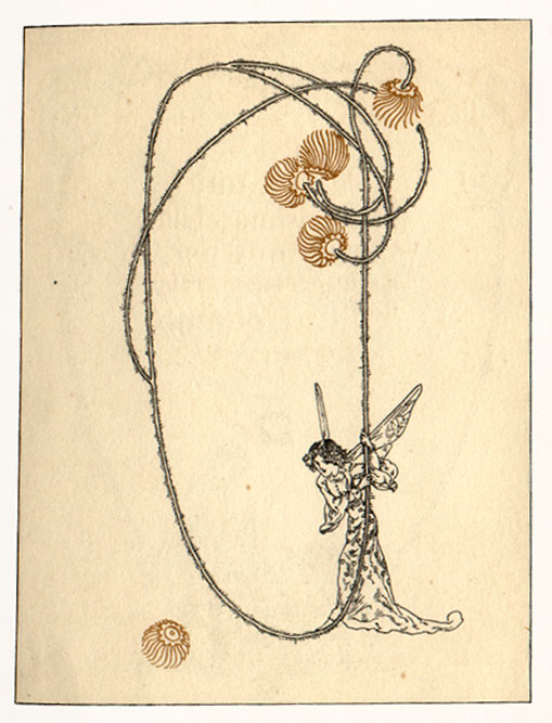 fairy holding a flower stem.