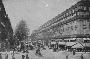 Bustling city street flanked by large building with shops on the bottom floor.