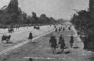 Wide tree-lined street with horseback riders and foot traffic.