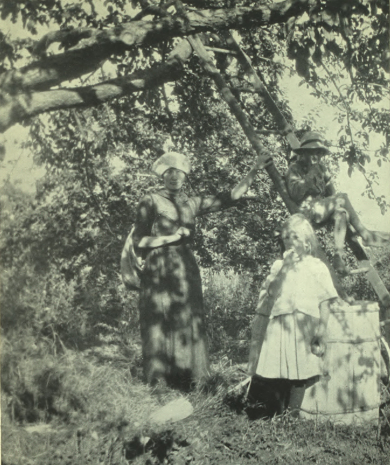 People relaxing in the orchard, a child is eating an apple.