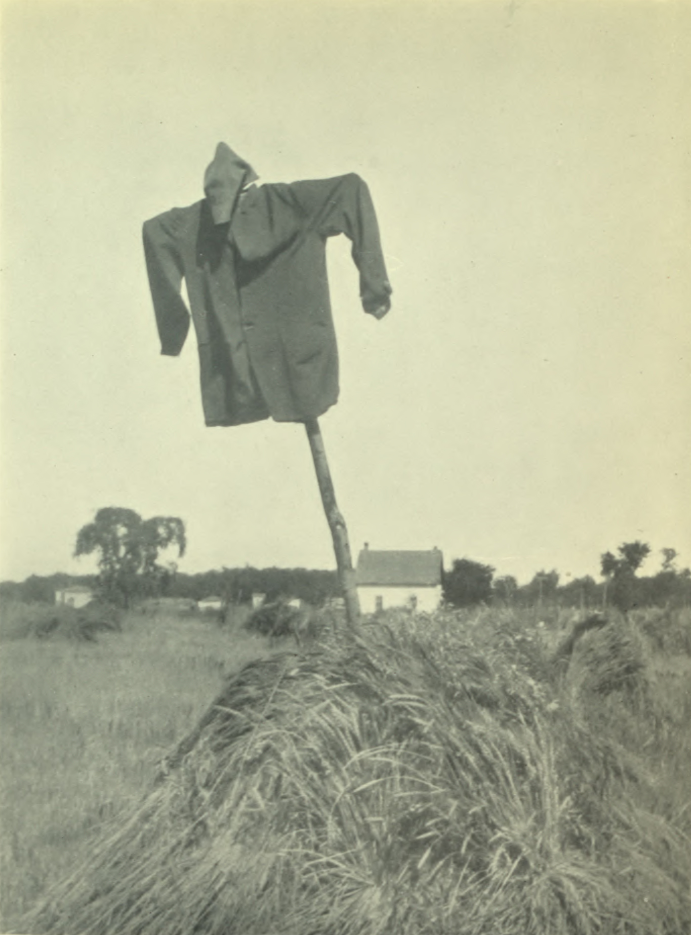 Tall stick with a shirt and hat on a pile of hay.