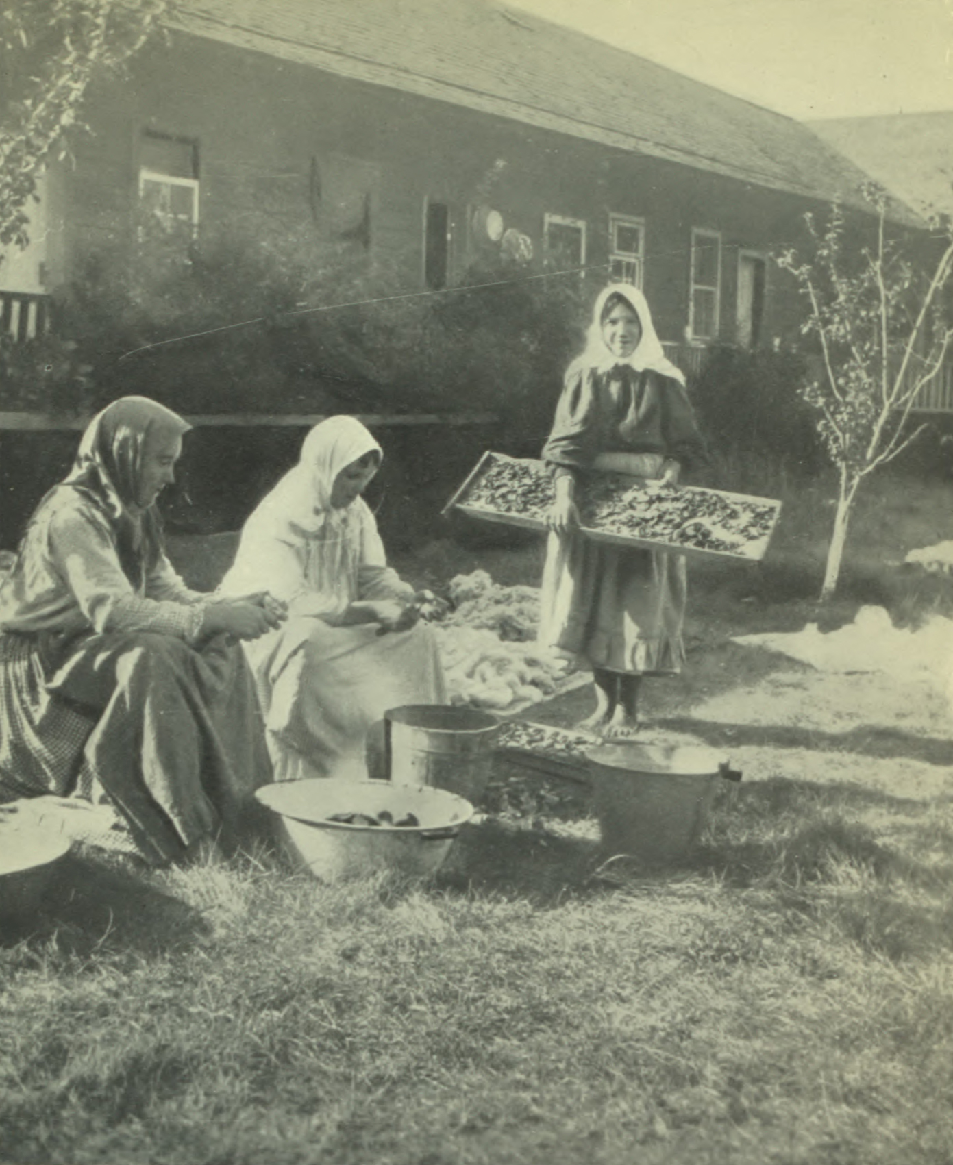 Women processing produce outdoors.
