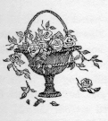 roses in vase with narrow foot