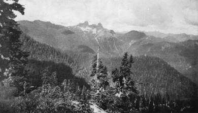 landscape with tall, thin evergreen trees and two mountain peaks in the background