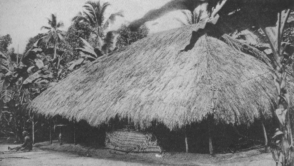 structure with thatched roof