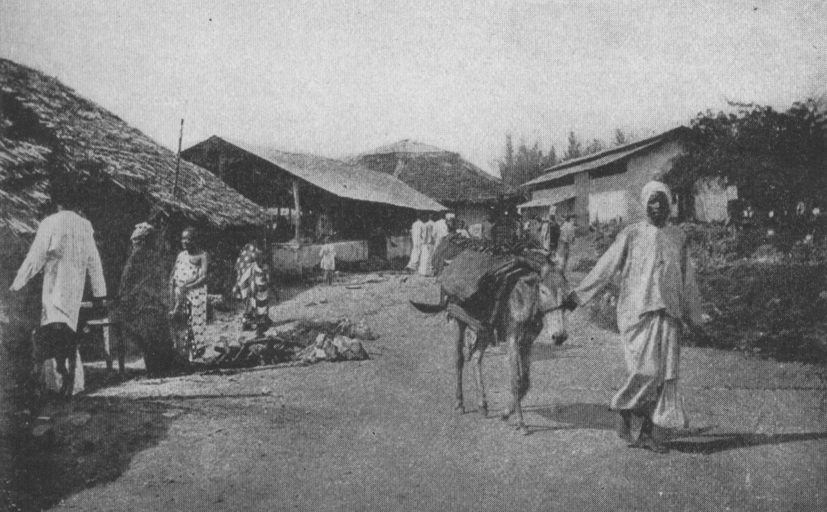 man leading a donkey through a market