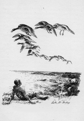 geese flying in a low V formation above a man reclining near the shore
