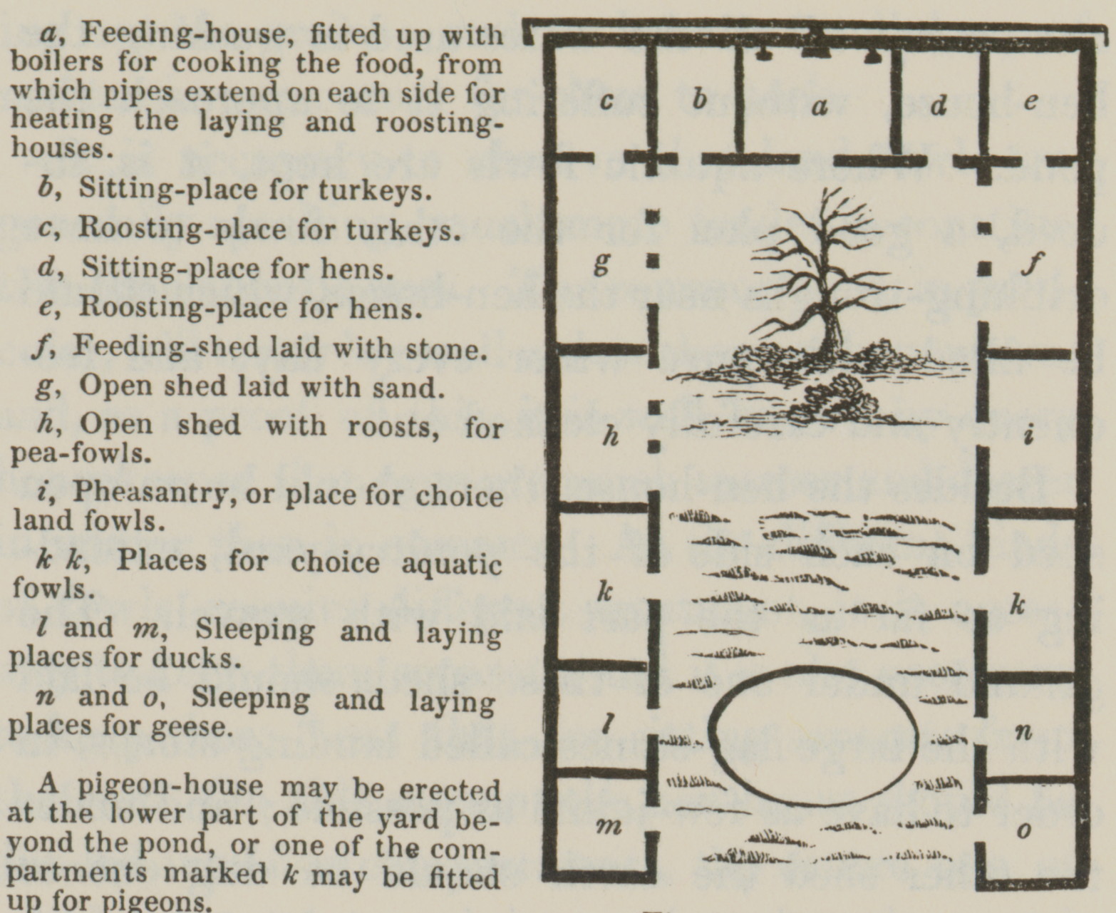 plan for U-shaped poultry house and interior yard