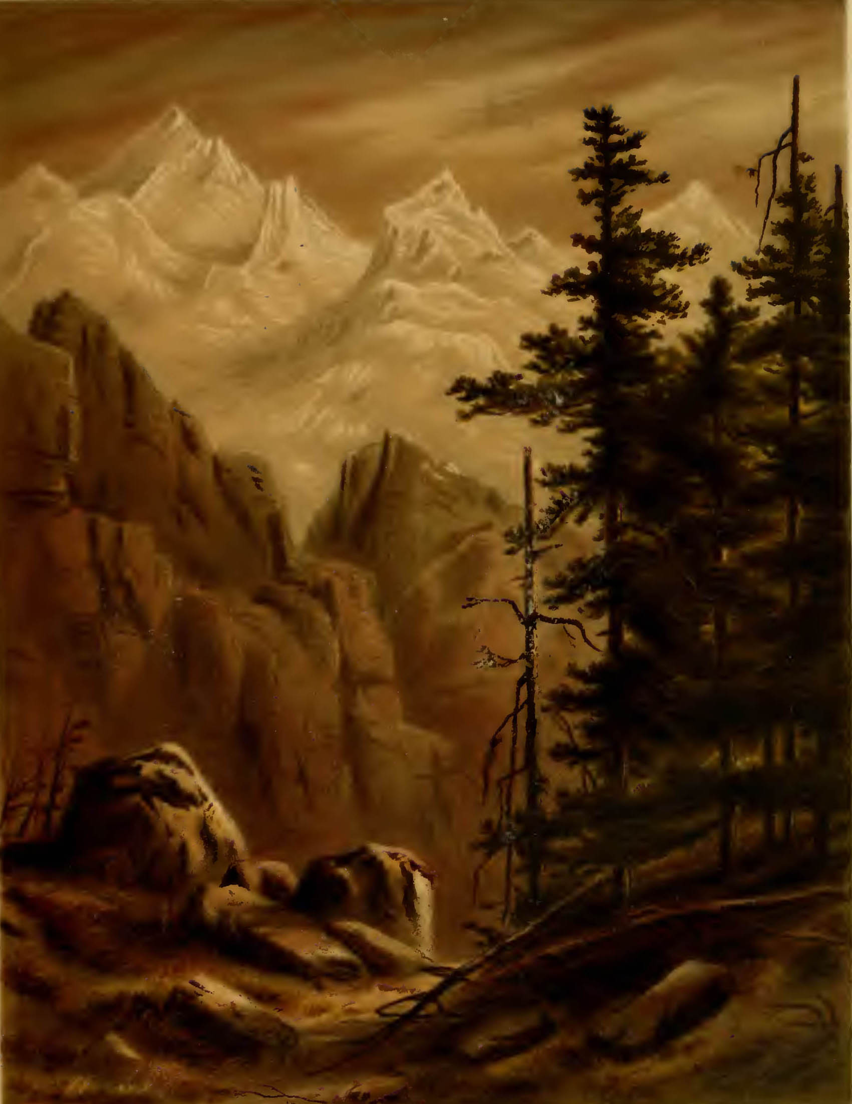 snow-capped mountains and evergreen trees, caption: Kinchinjunga and Pundeem, by Moonlight