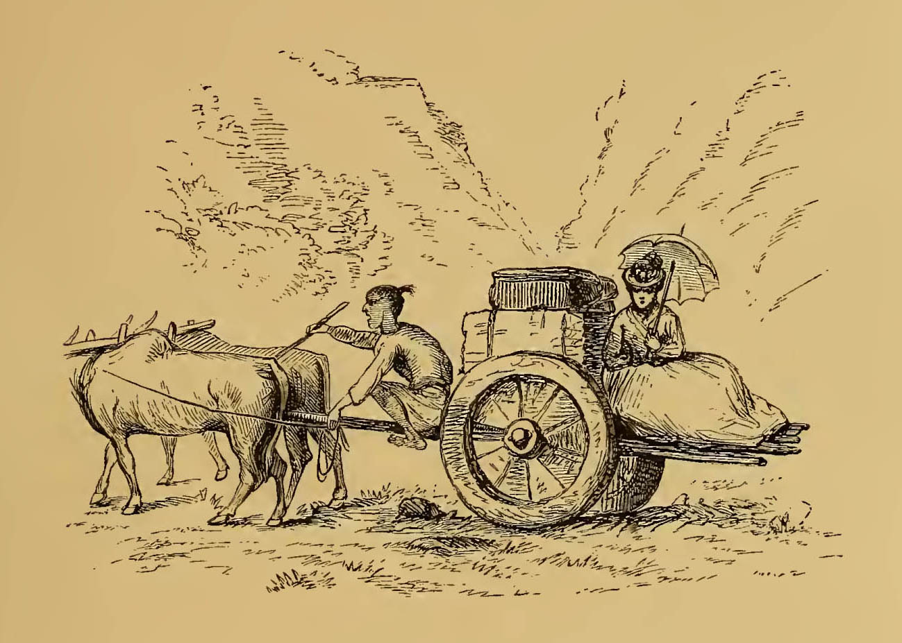 woman sitting on the back of a small cart pulled by oxen