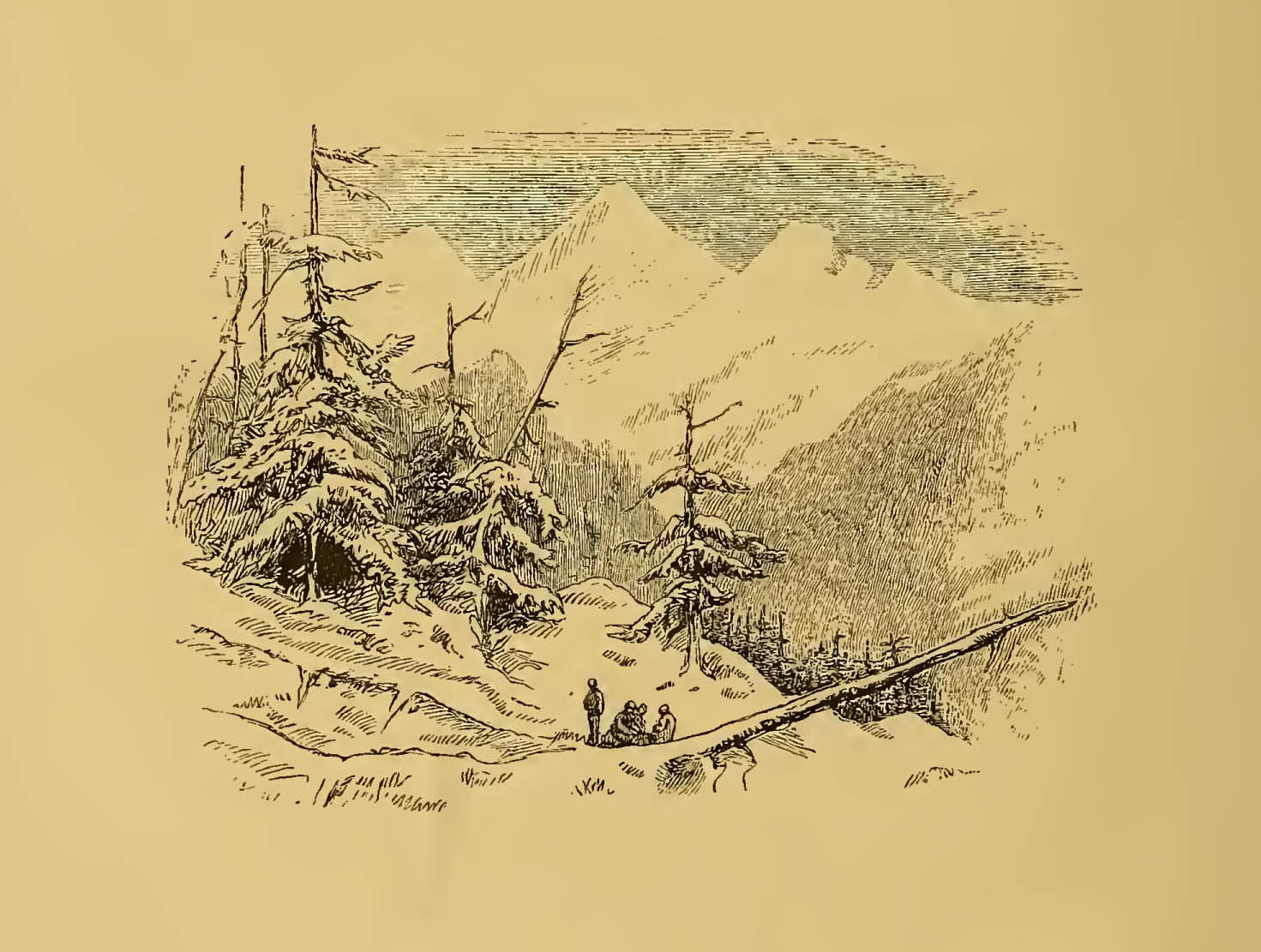 group sitting in mountainous landscape with pine trees