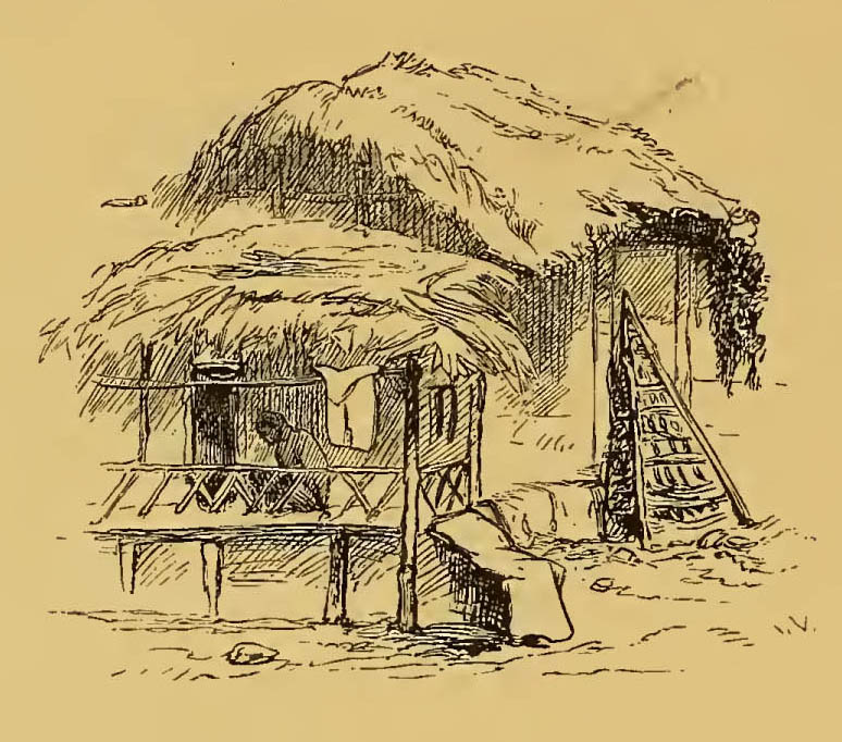 huts with straw roofs