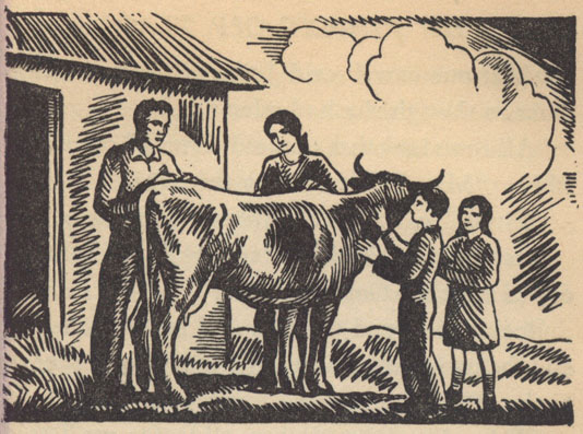 man, woman, boy, and girl all examining a cow