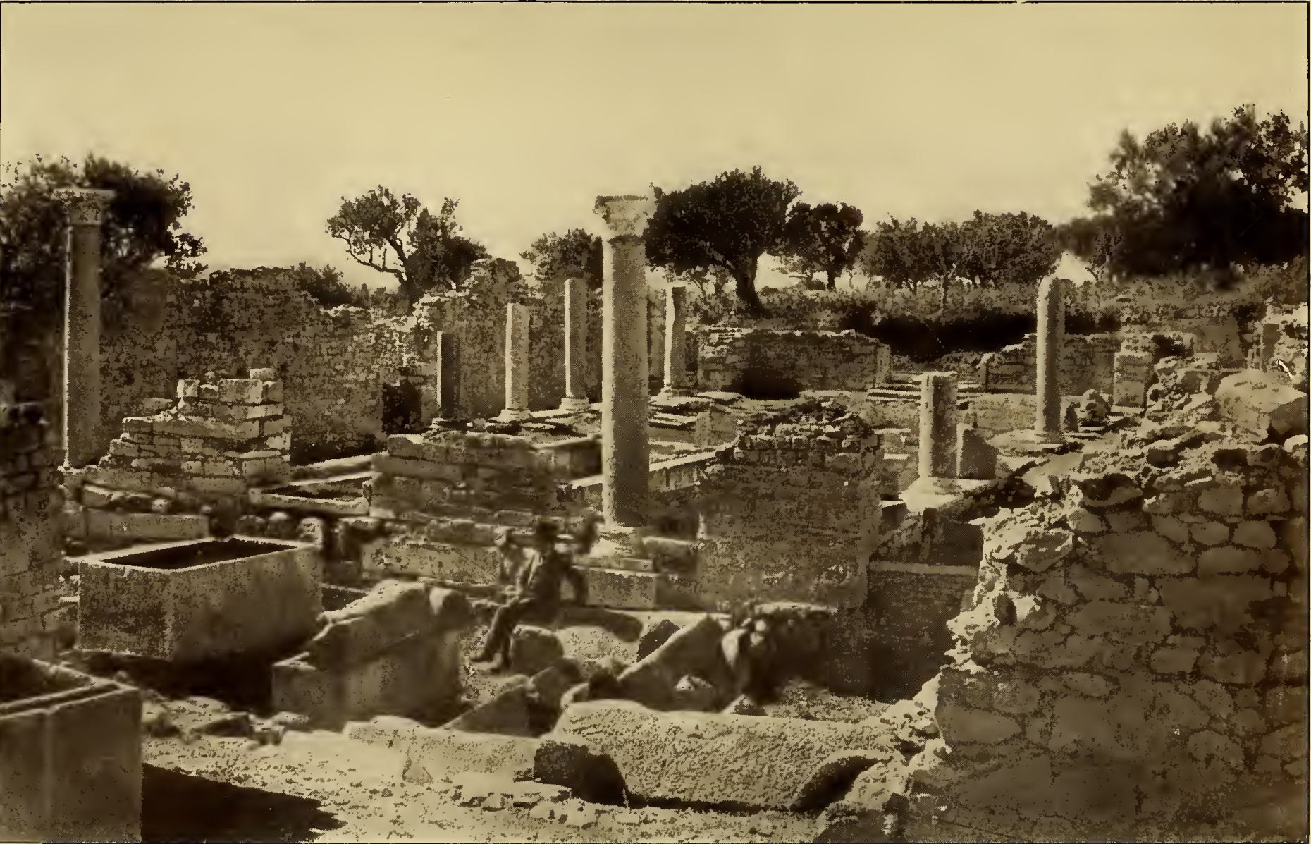 Stone ruins with some standing columns. Caption: Salona Ruins of the Ancient Basilica.