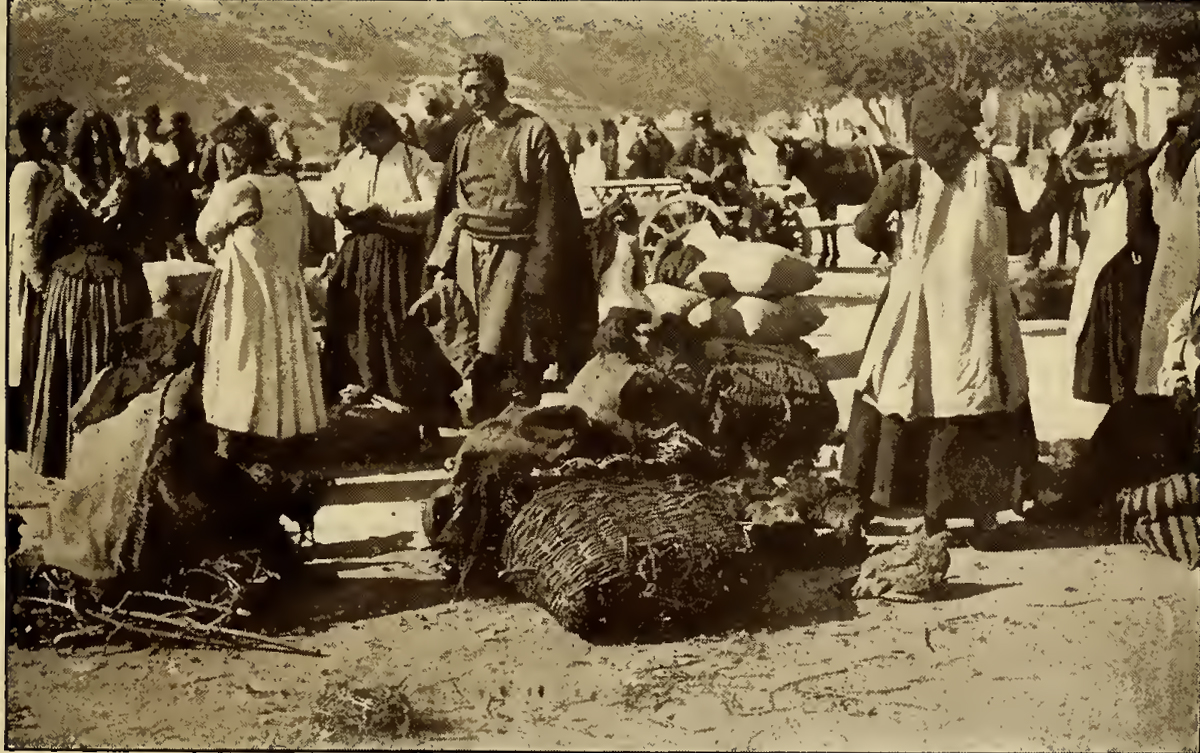 Men, women, and animals milling about baskets and goods. Caption: Market on the Marina.