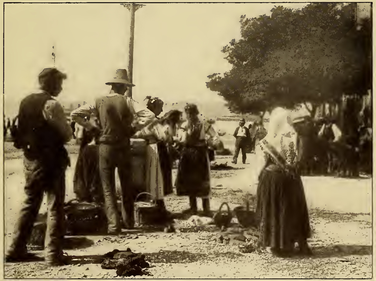 Men and women congregating by trees with baskets and goods. Caption: Picturesque People.
