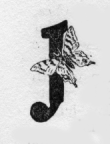 Butterfly. J (illuminated capital for just)