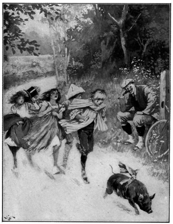 Children chasing a pig with a ribbon around it.