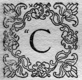 C (illuminated letter for children)