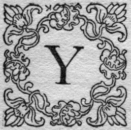 Y (illuminated letter for you)