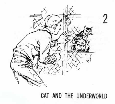 Chapter 2: Cat and the Underworld. Cat is behind a locked gate while boy stands outside peeking in.