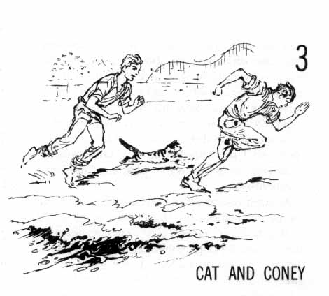 Chapter 3: Cat and Coney. Two boys and cat running, with a scene of Coney Island rides and rollercoasters behind them.