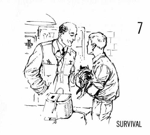 Chapter Seven: Survival. Boy holding cat in veterinarian's office as vet looks at the cat.
