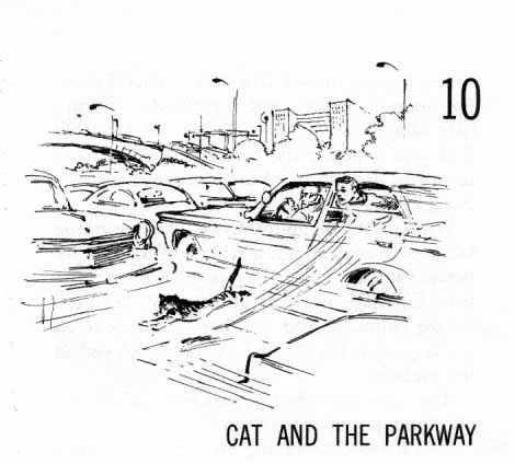 Chapter Ten: Cat and the Parkway. Cat running across very busy street.
